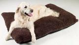 Senior gold mattress dog bed